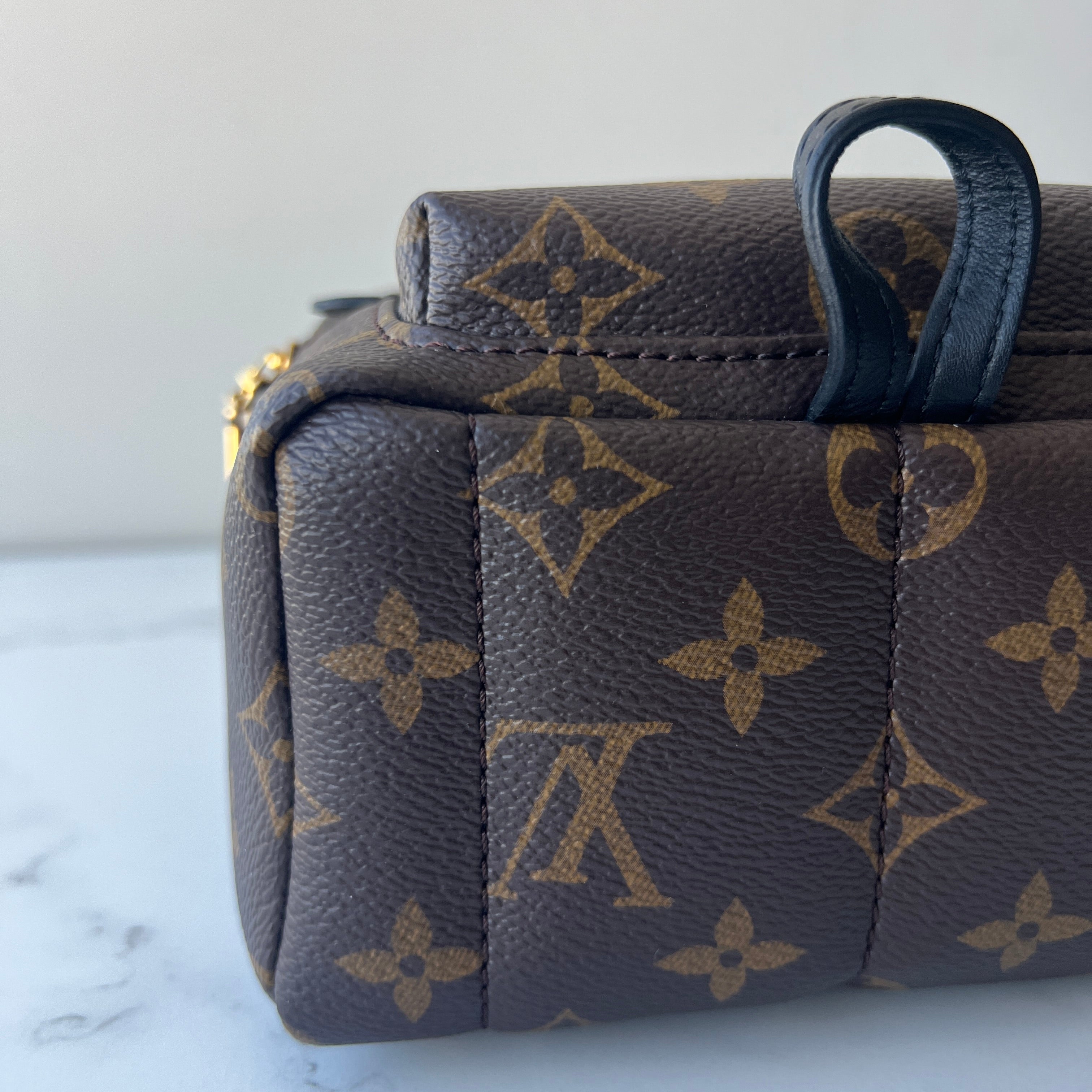 Louis Vuitton Palm Springs Mini