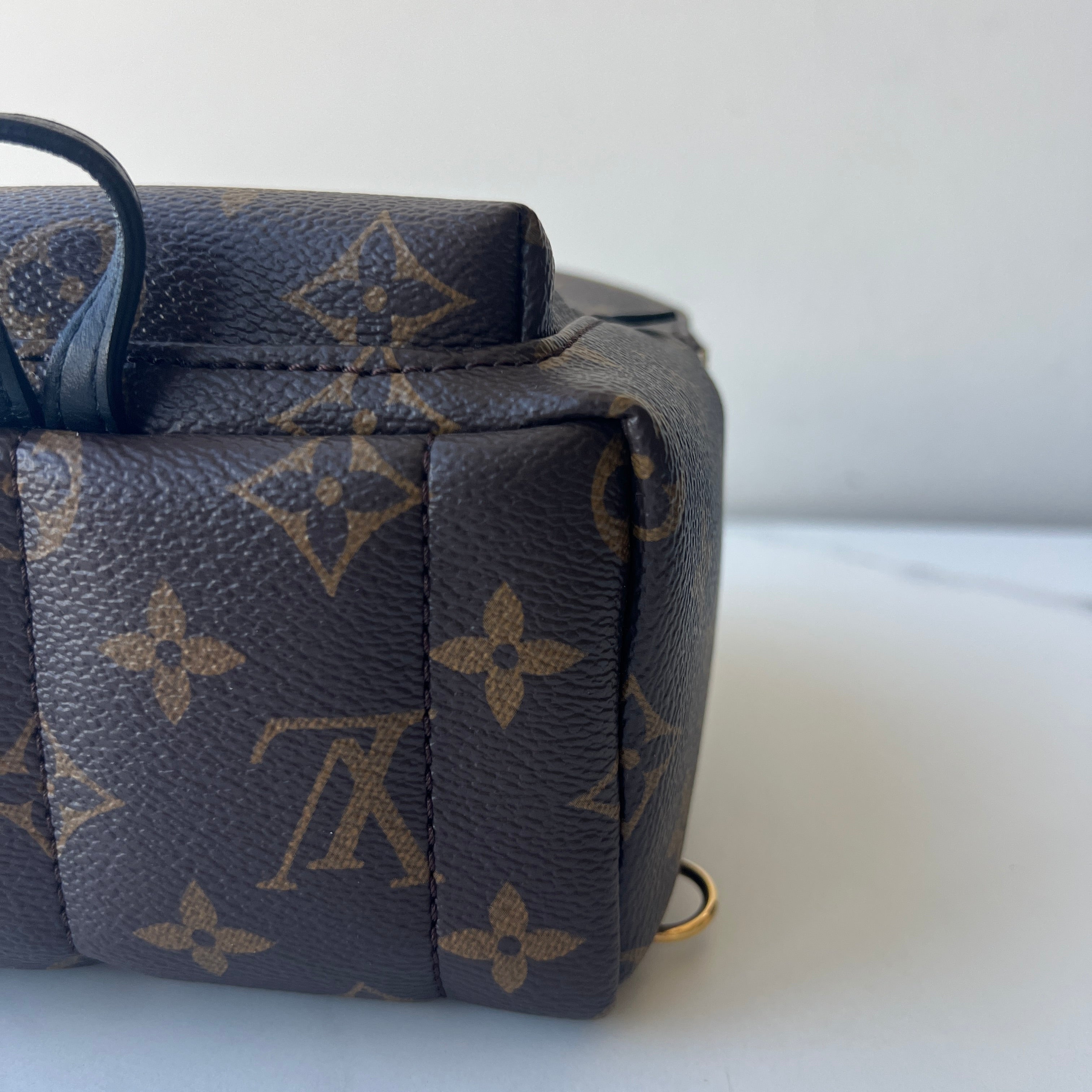 Louis Vuitton Palm Springs Mini