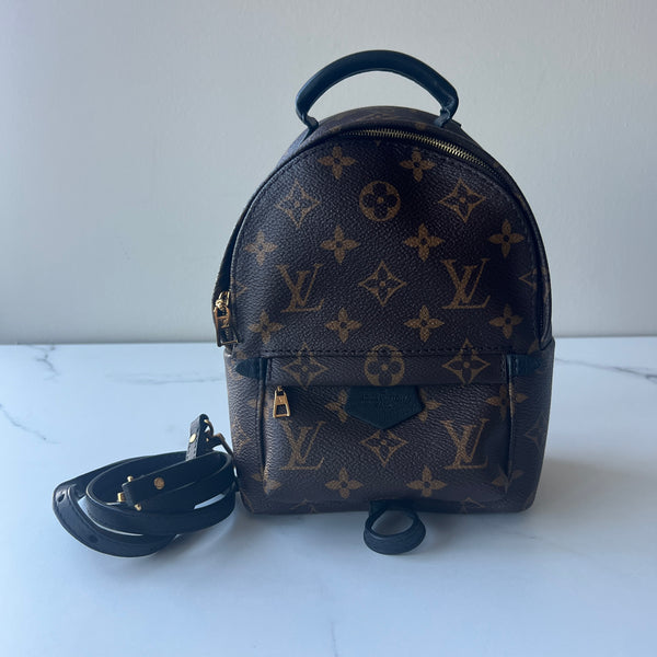 Louis Vuitton Palm Springs Mini