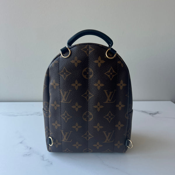 Louis Vuitton Palm Springs Mini