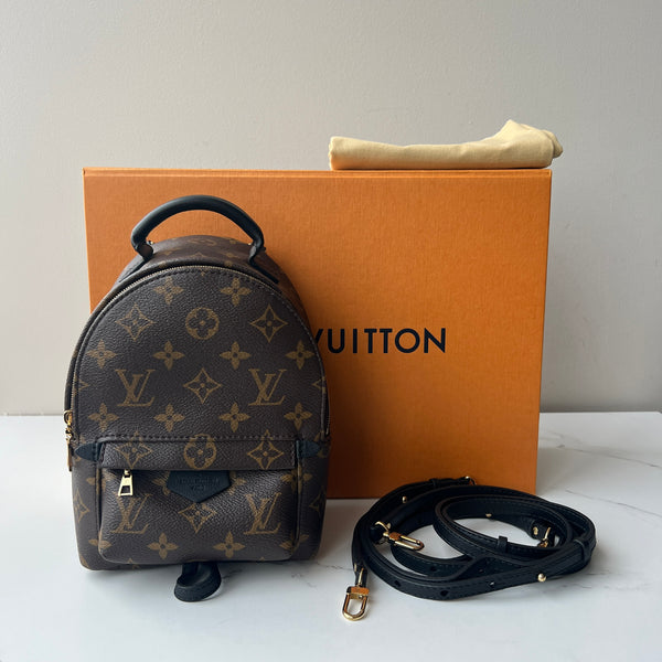 Louis Vuitton Palm Springs Mini