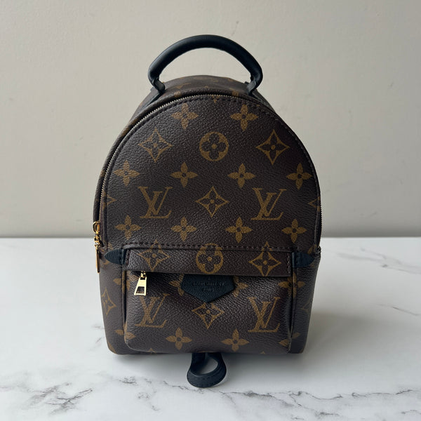 Louis Vuitton Palm Springs Mini