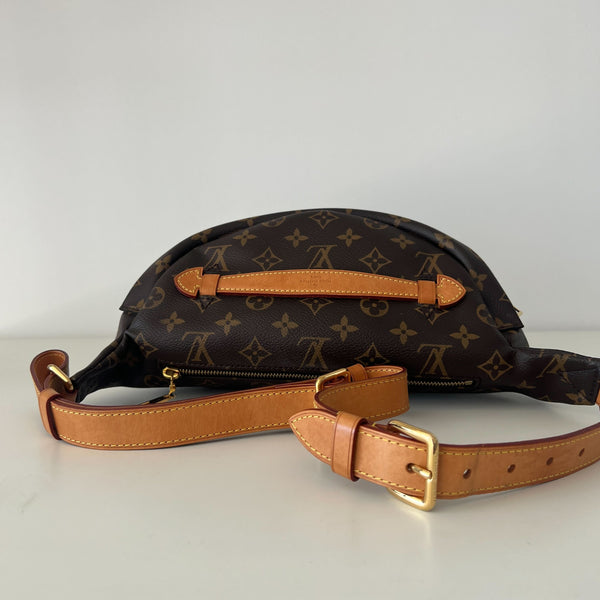 Louis Vuitton Bum Bag
