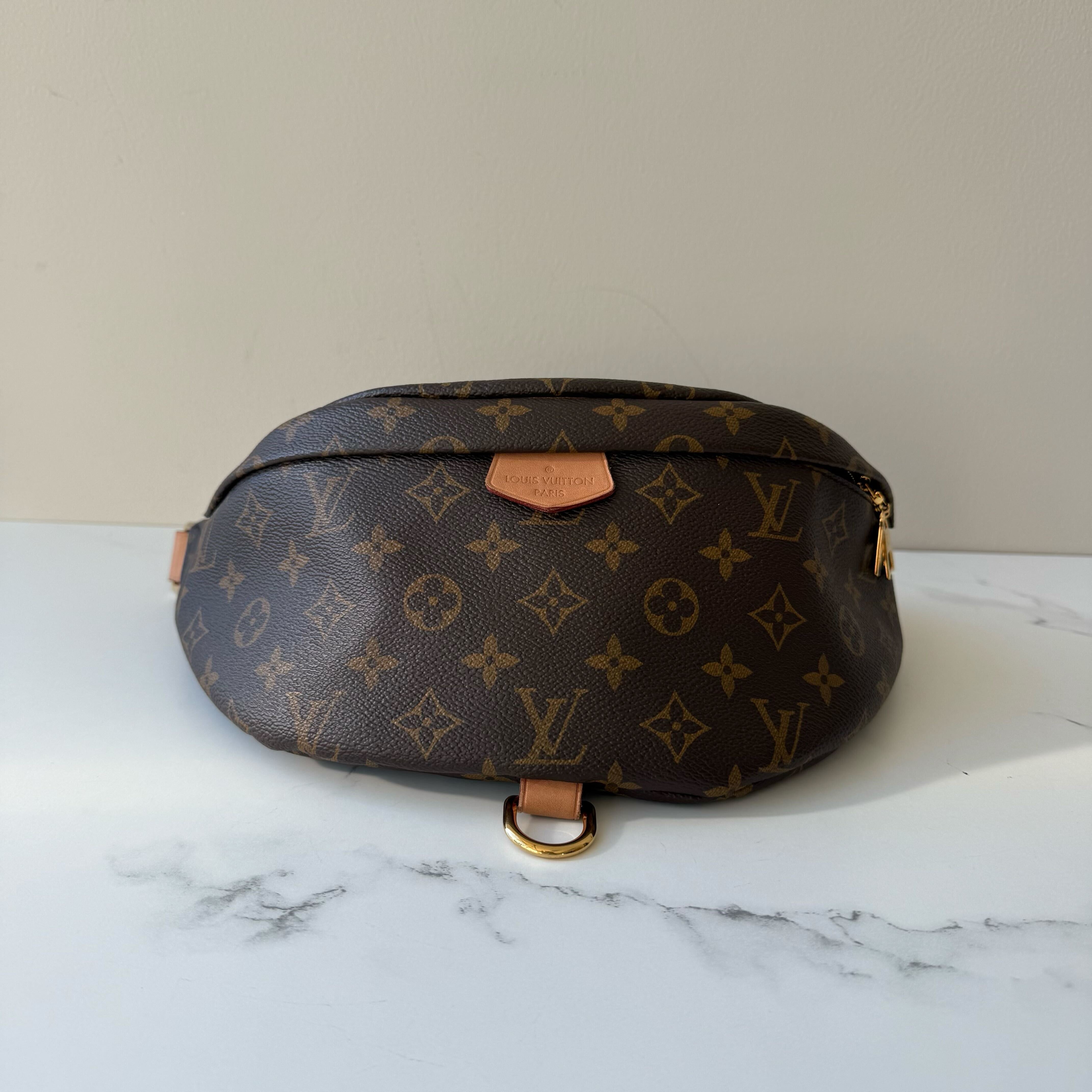 Louis Vuitton Bumbag