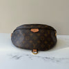 Louis Vuitton Bumbag