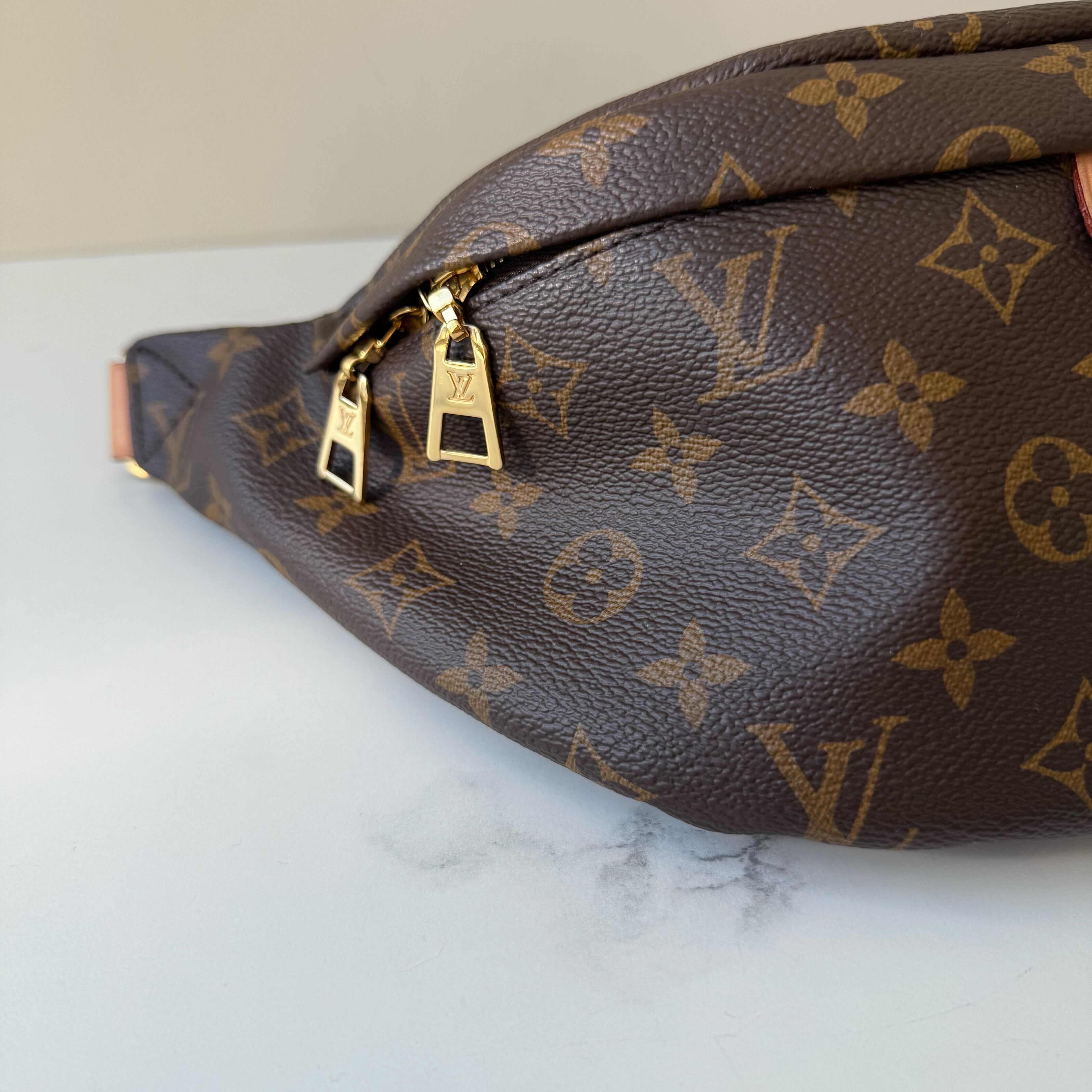 Louis Vuitton Bumbag
