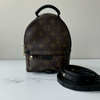 Louis Vuitton Palm Springs Mini