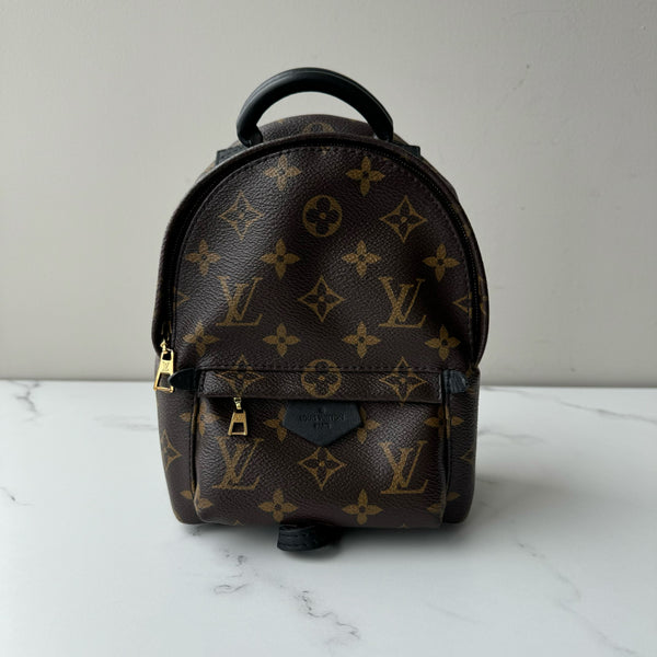 Louis Vuitton Palm Springs Mini