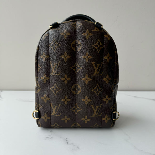 Louis Vuitton Palm Springs Mini