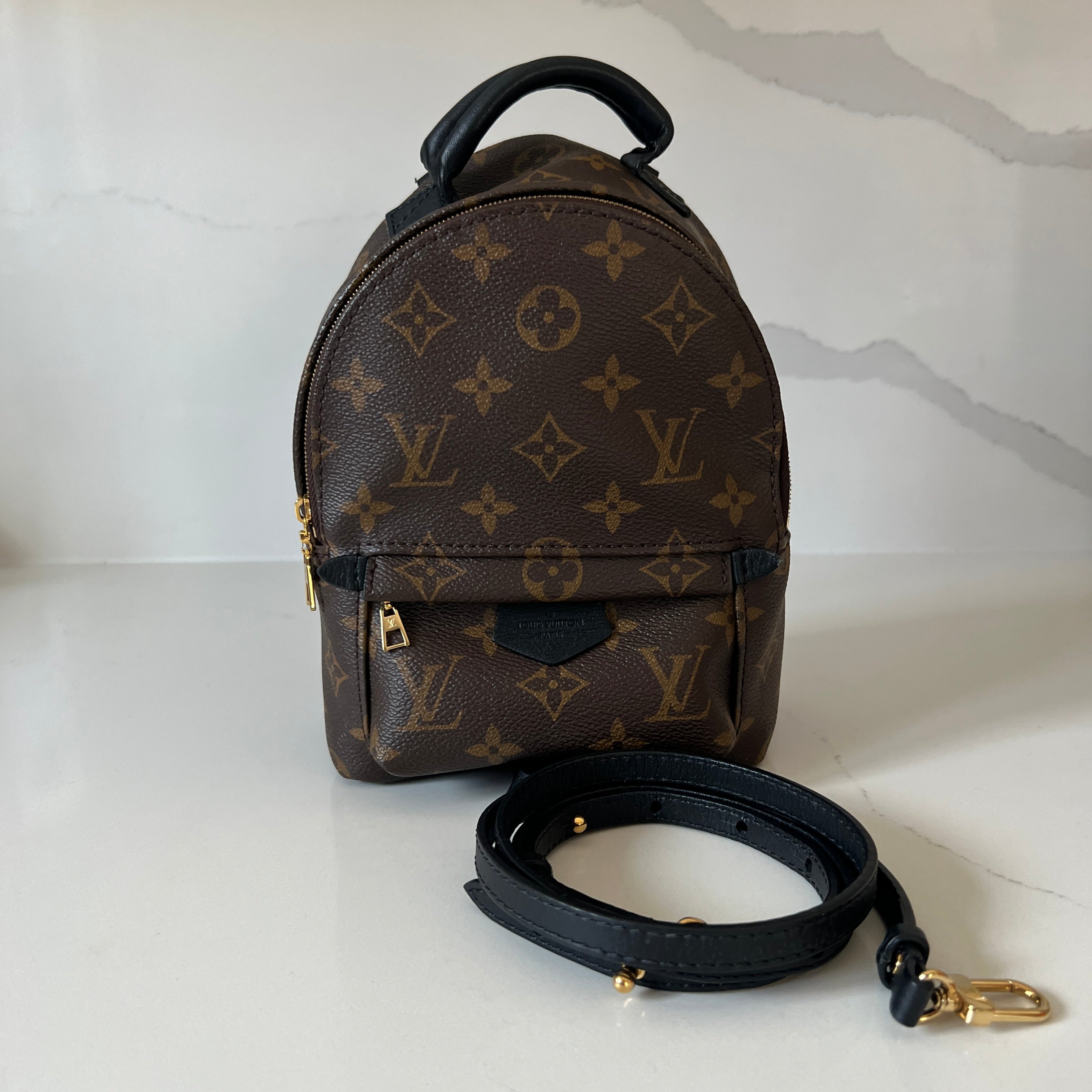 Louis Vuitton Palm Springs Mini