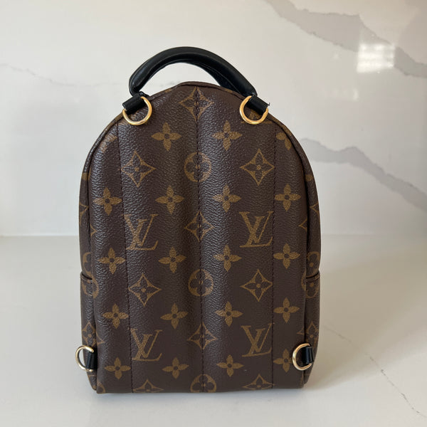 Louis Vuitton Palm Springs Mini