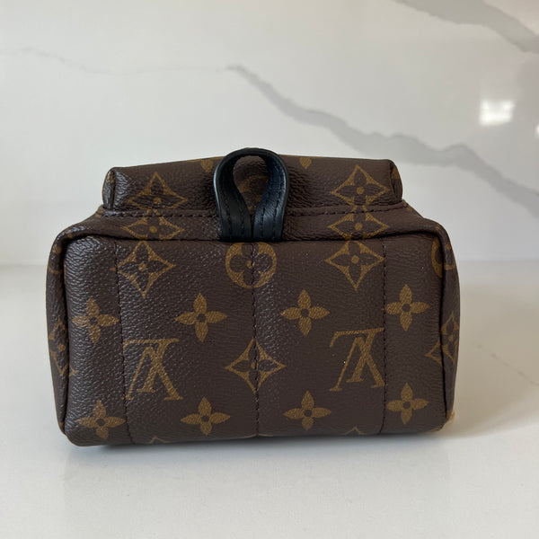 Louis Vuitton Palm Springs Mini