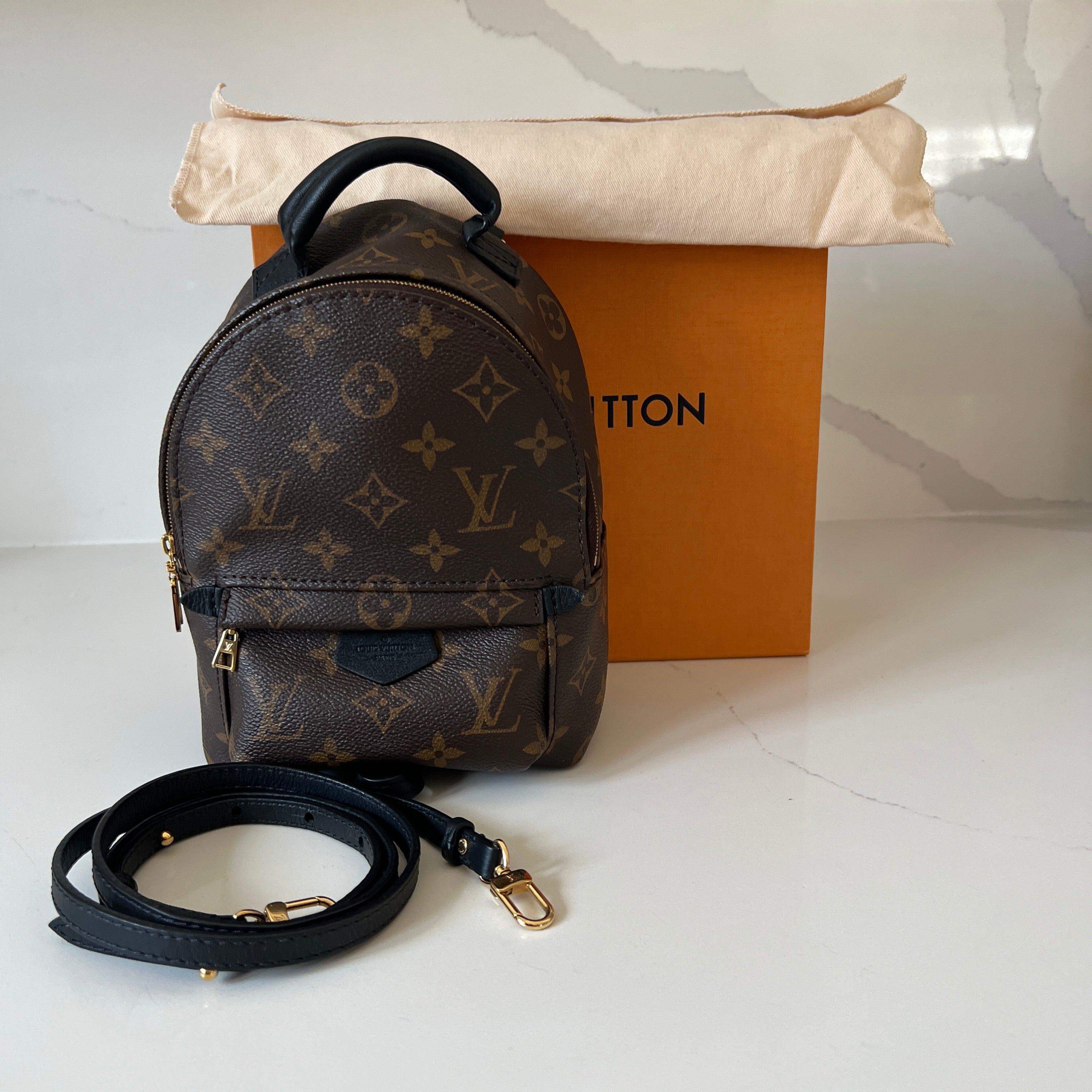 Louis Vuitton Palm Springs Mini