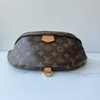 Louis Vuitton Bumbag