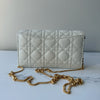 Dior Caro Pouch with Chain