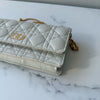 Dior Caro Pouch with Chain