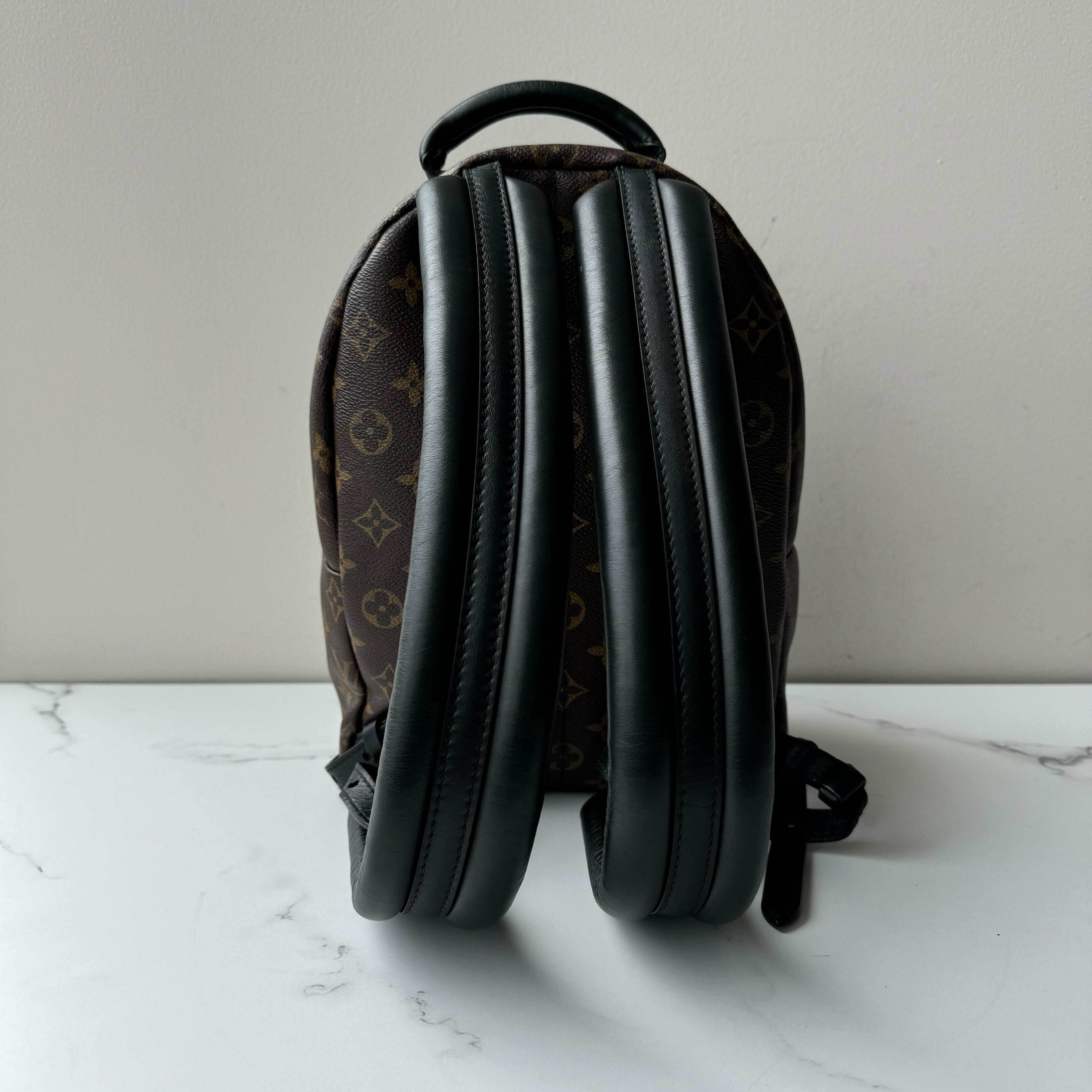 Louis Vuitton Palm Springs PM