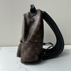 Louis Vuitton Palm Springs PM