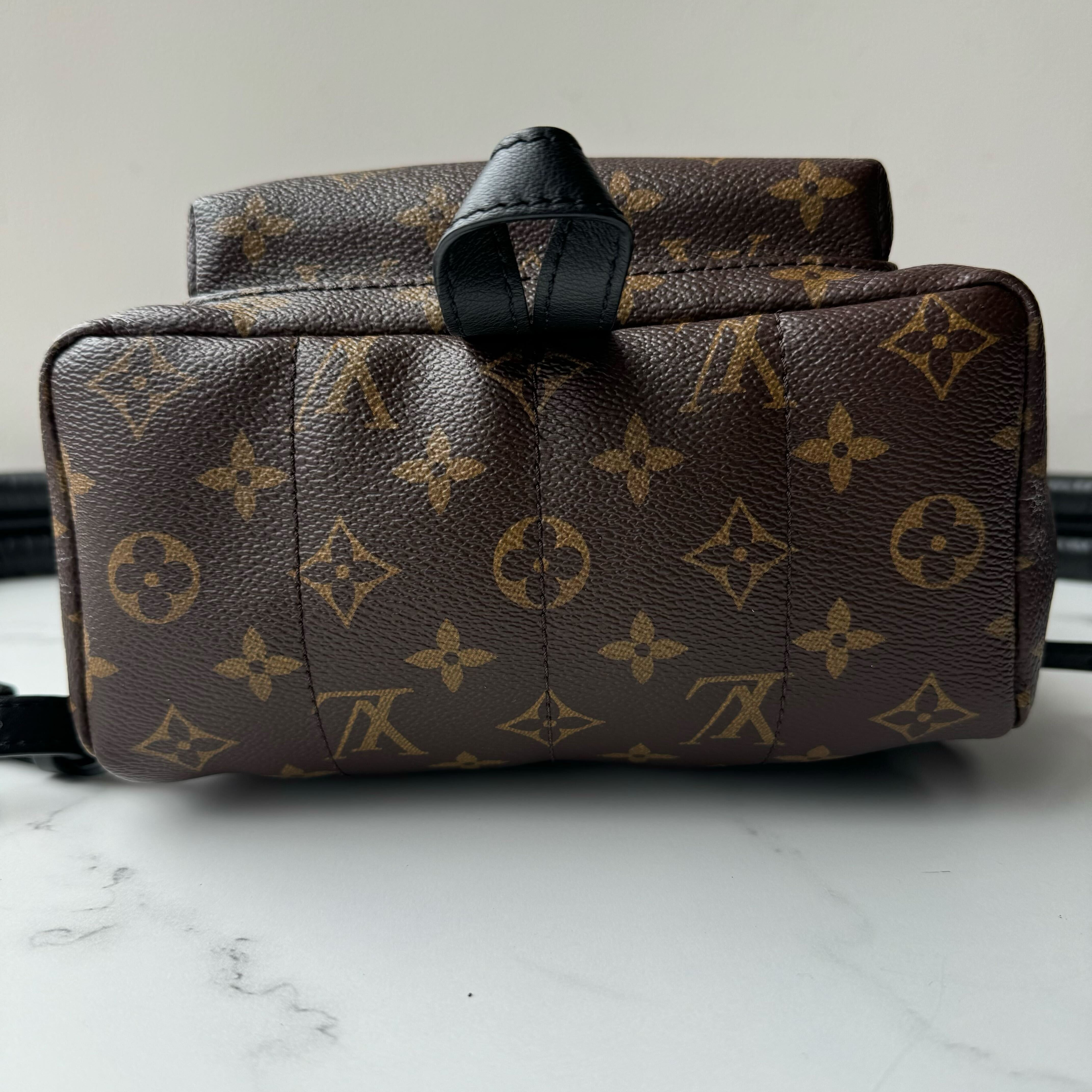 Louis Vuitton Palm Springs PM