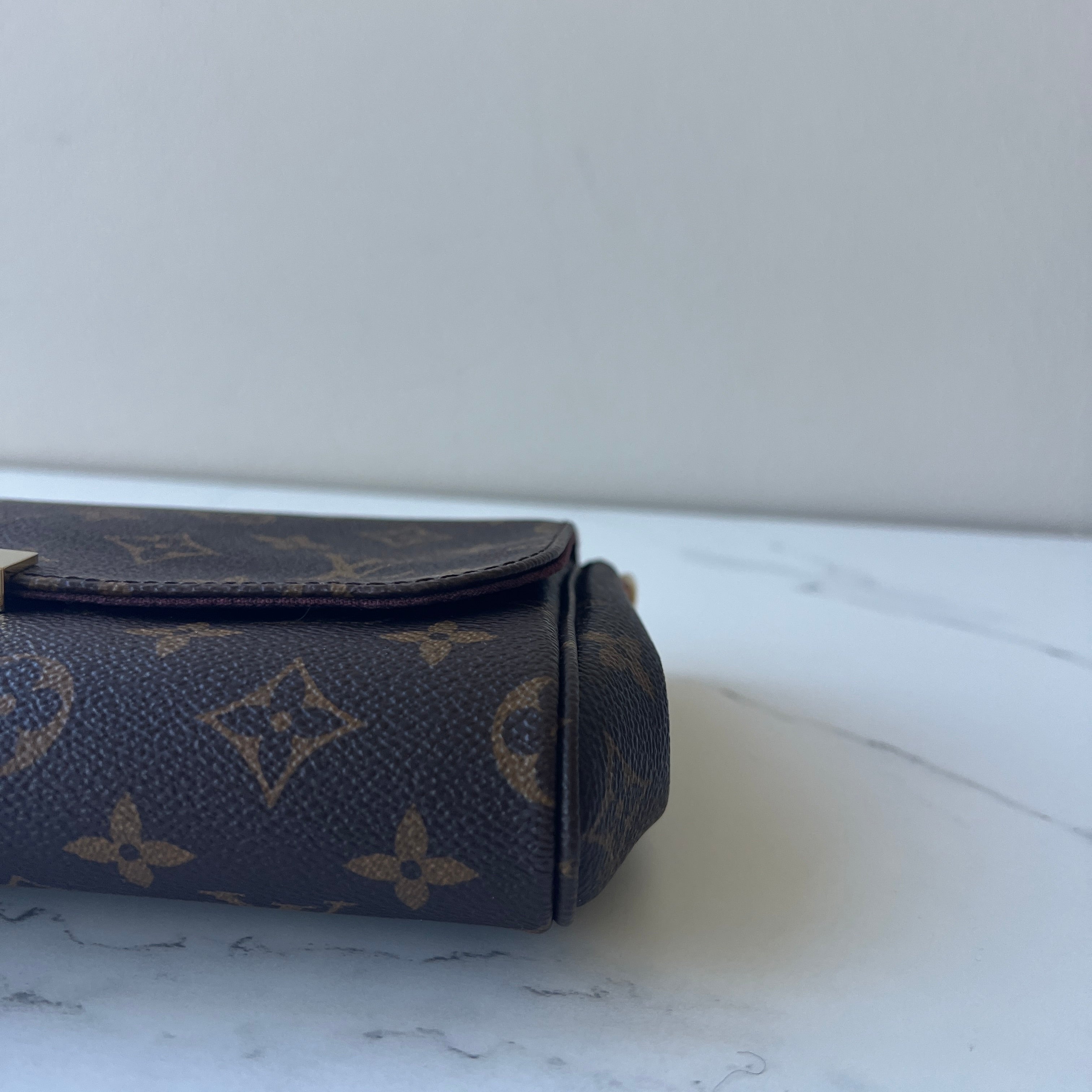 Louis Vuitton Favorite