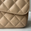 Chanel Jumbo Single Flap