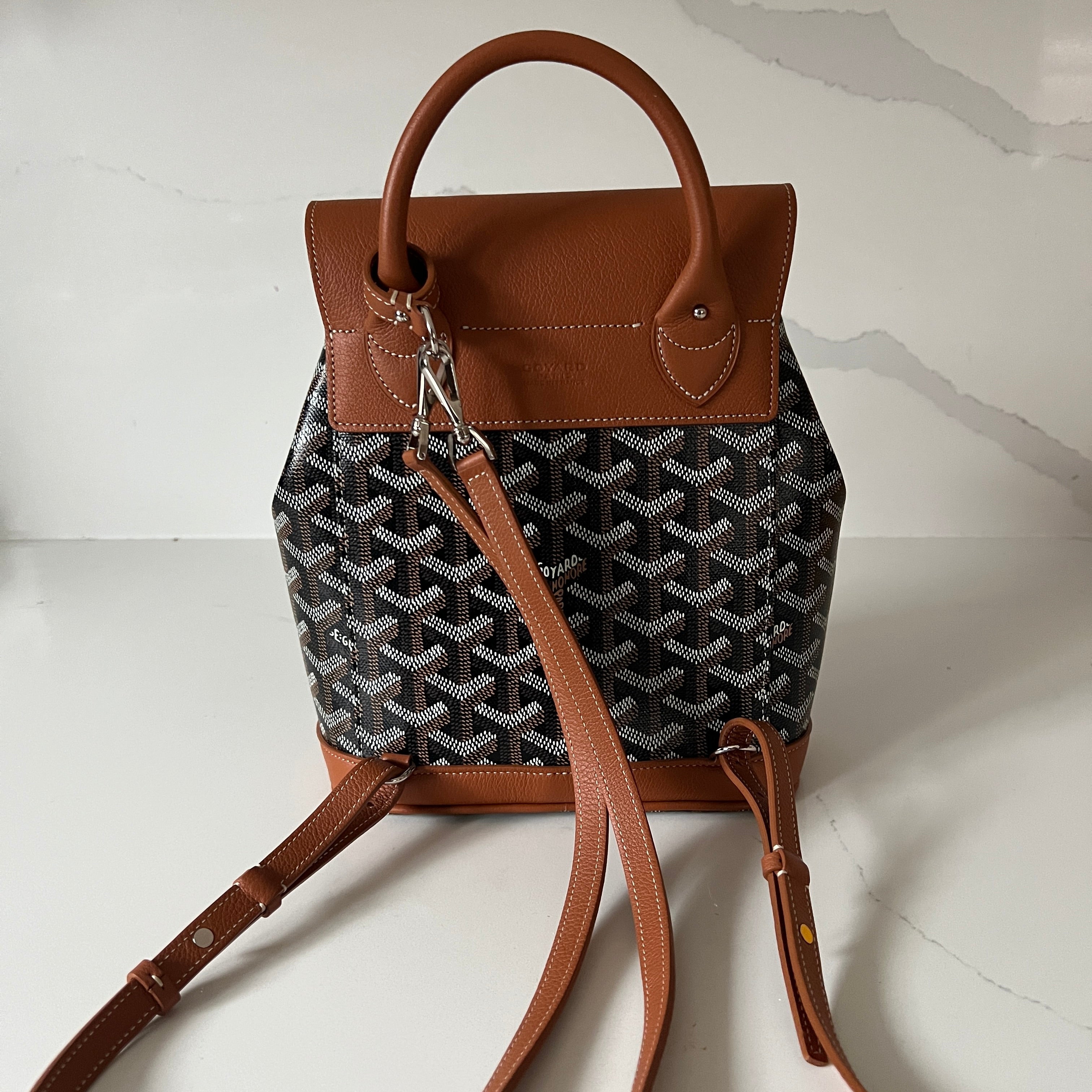 Goyard Mini Alpin