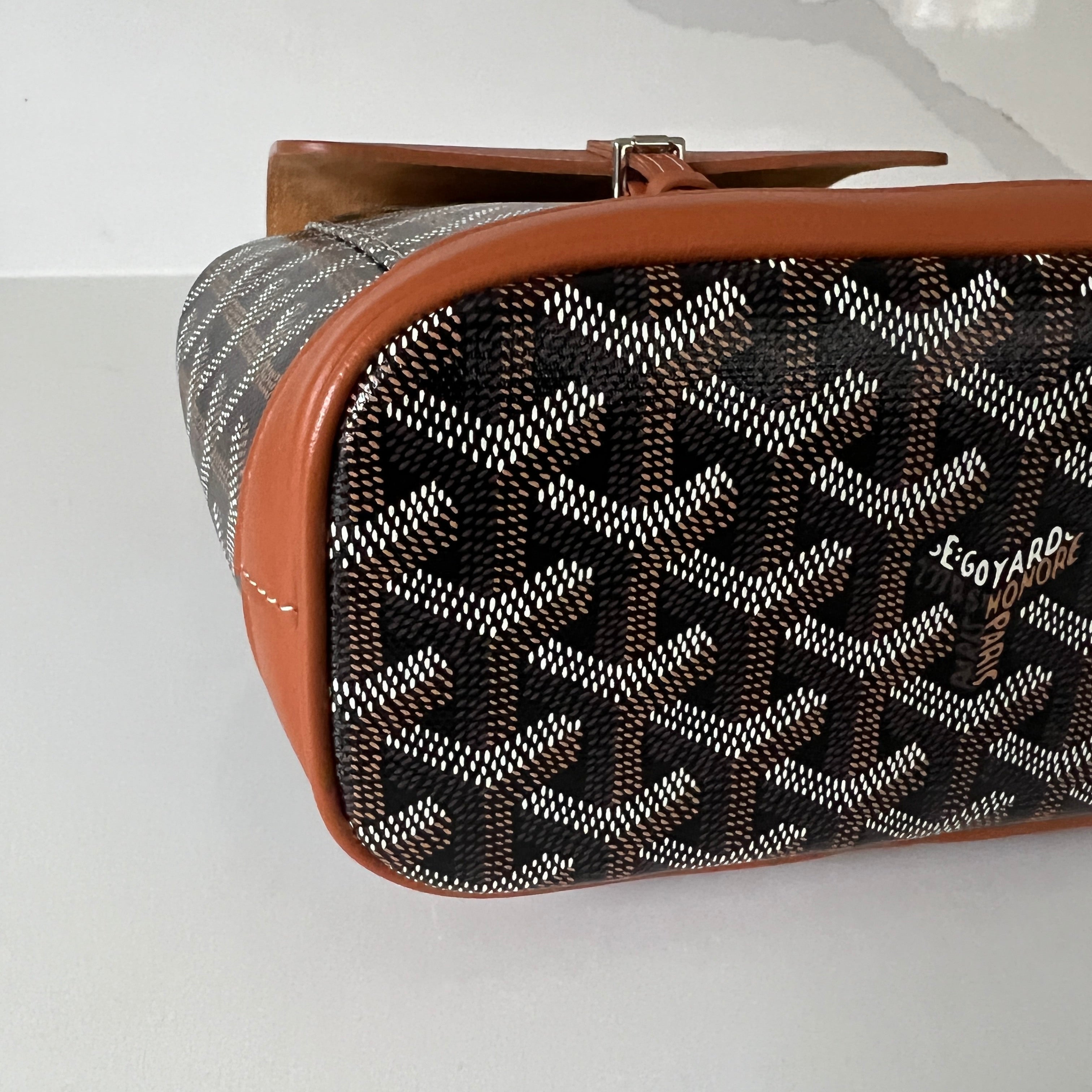 Goyard Mini Alpin