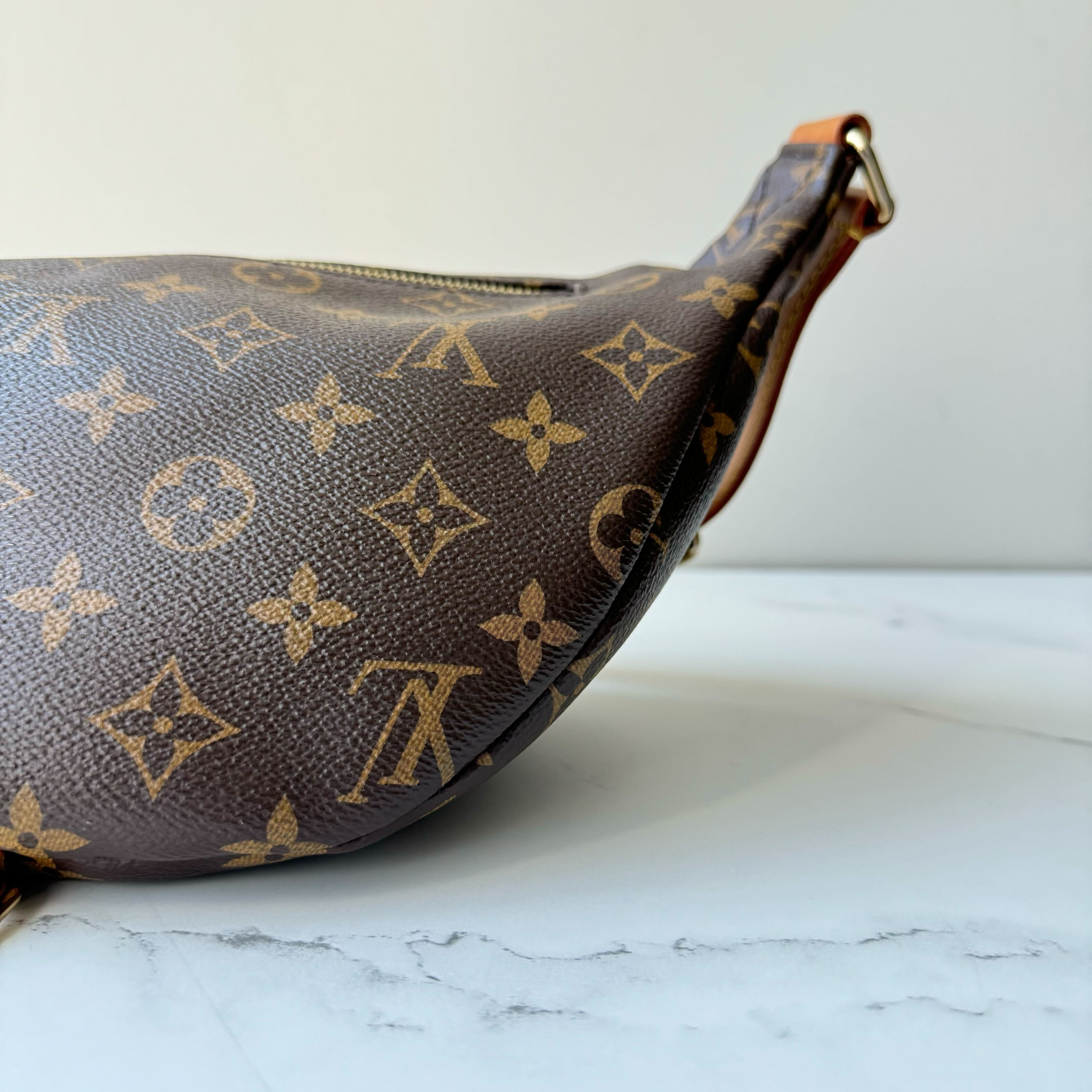 Louis Vuitton Bumbag