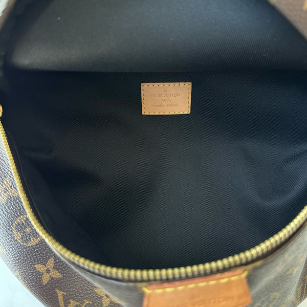 Louis Vuitton Bumbag