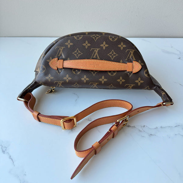 Louis Vuitton Bumbag