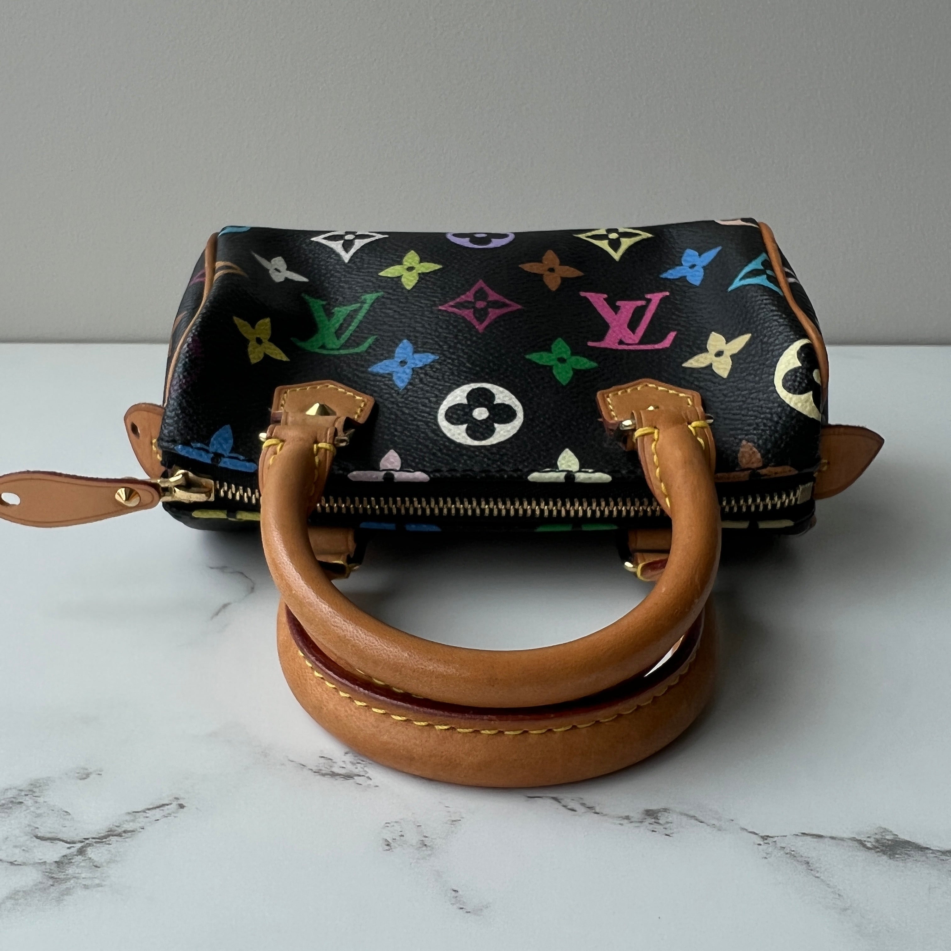 Louis Vuitton Nano Speedy