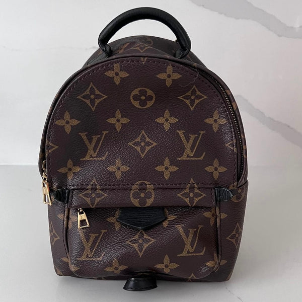 Louis Vuitton Palm Springs Mini