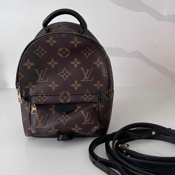 Louis Vuitton Palm Springs Mini