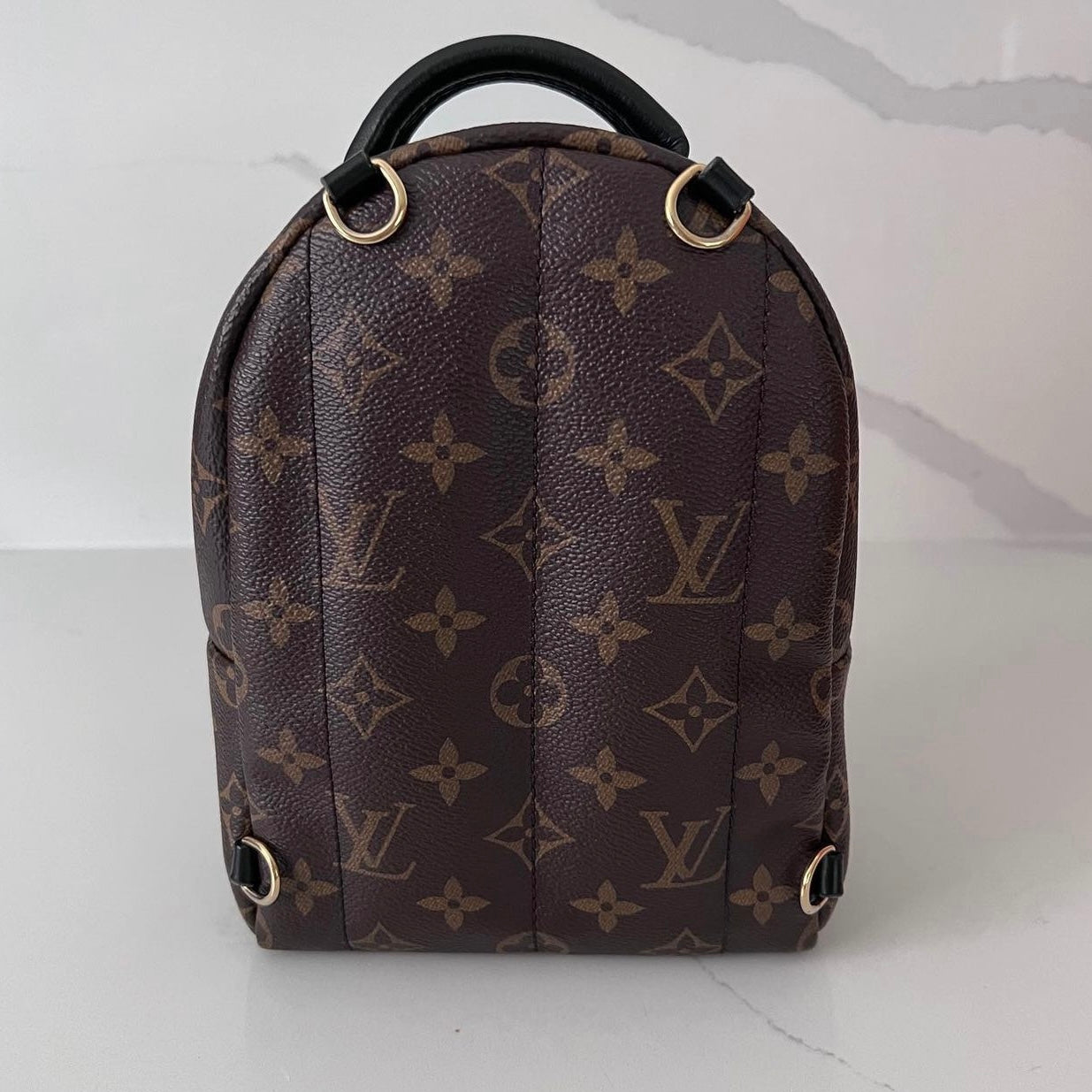 Louis Vuitton Palm Springs Mini