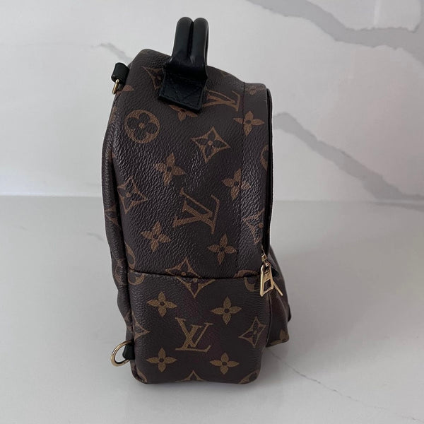 Louis Vuitton Palm Springs Mini