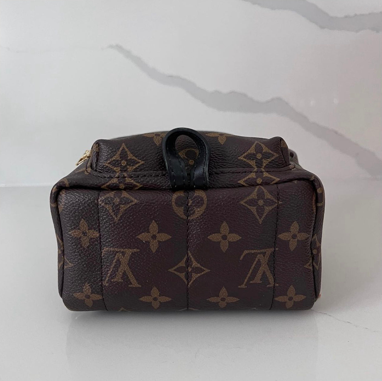 Louis Vuitton Palm Springs Mini