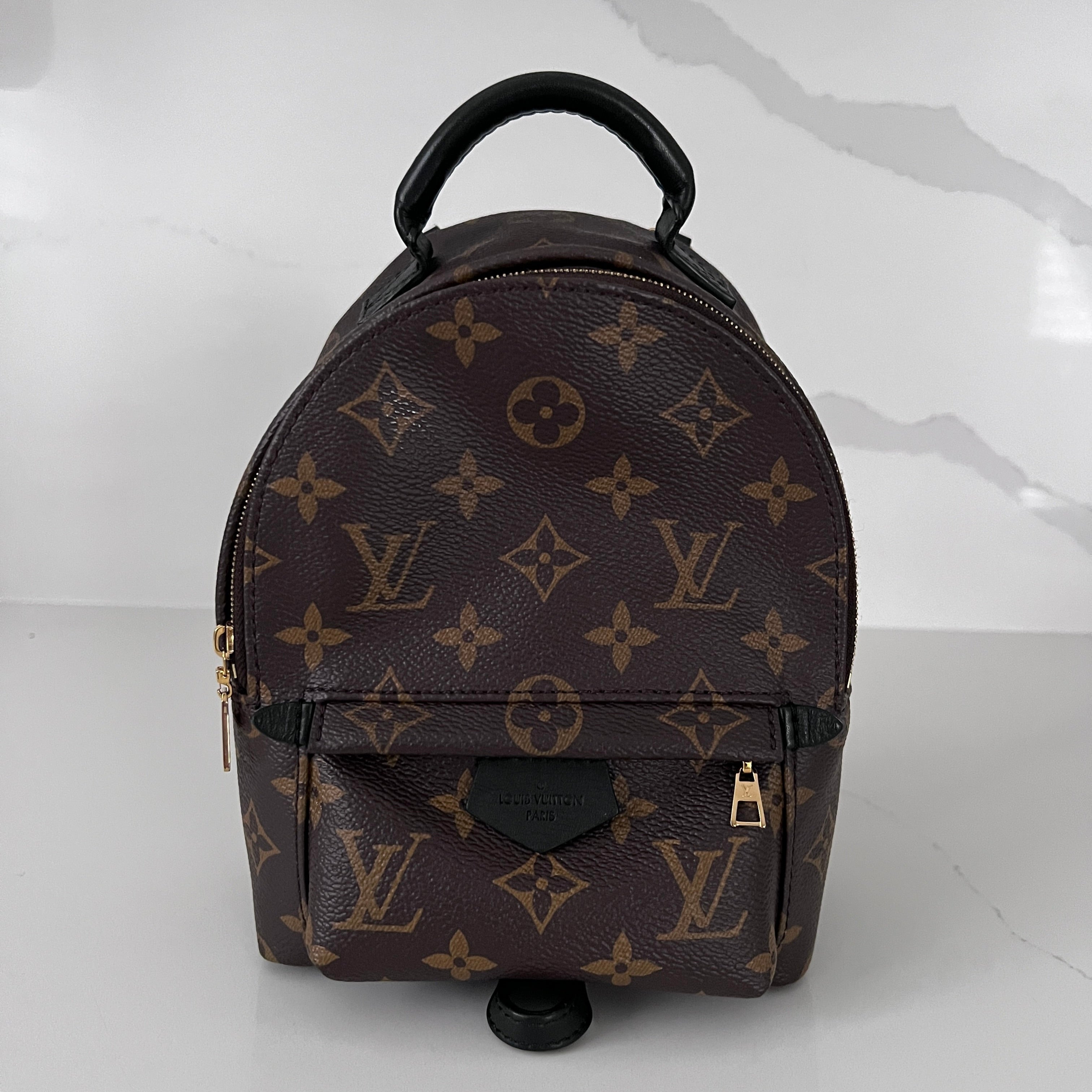 LOUIS VUITTON PALM SPRINGS MINI